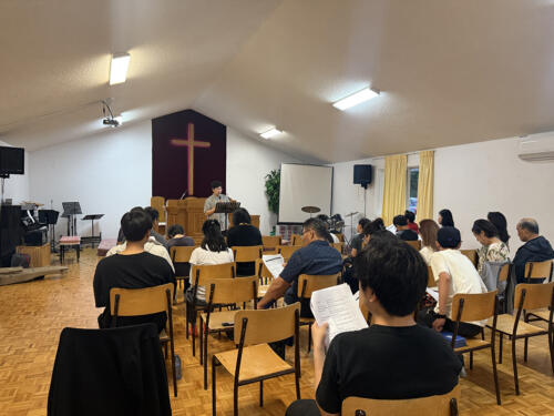 IMG 4781