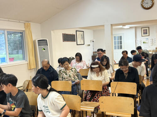 IMG 4798